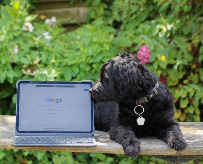 Na krap 2 jaar stopt Google alweer met continuous scroll. Dit zijn de gevolgen voor je SEO en SEA strategie!