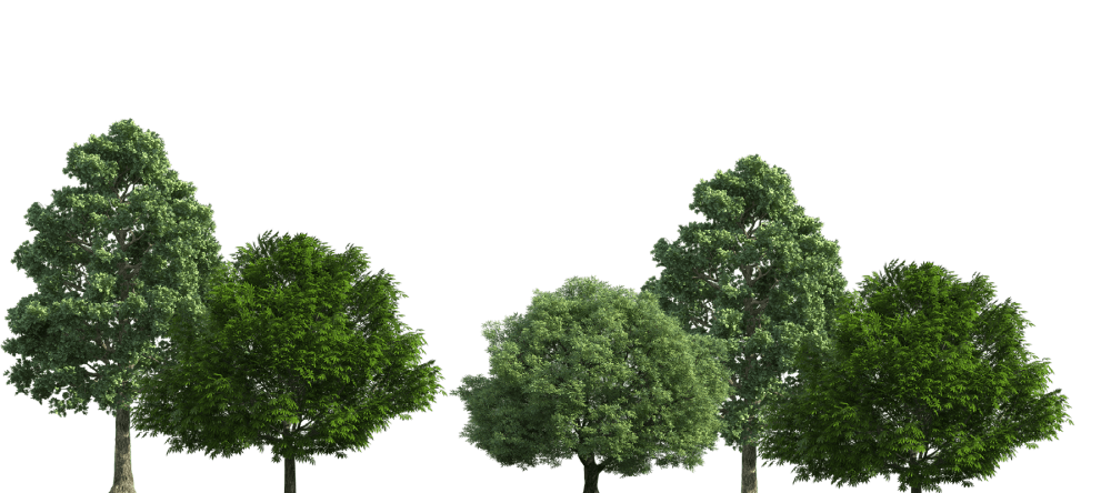 Design | Reclame uitingen